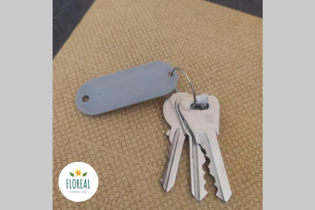 Cedeira Apartamento - Floreal Eksteriør billede